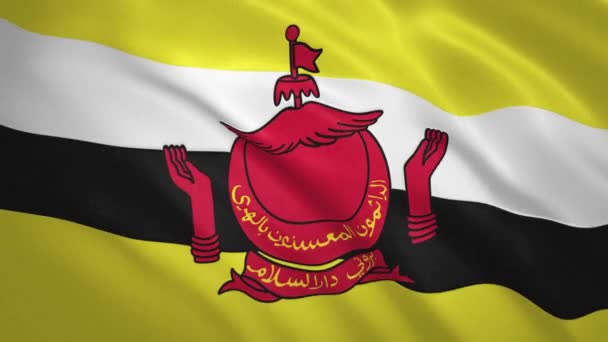 Brunei . Waving Flag Video Achtergrond — Stockvideo