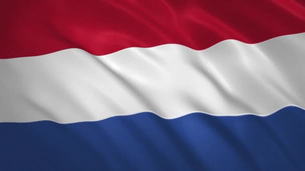 Hollandiában. Waving zászló videó háttér — Stock videók