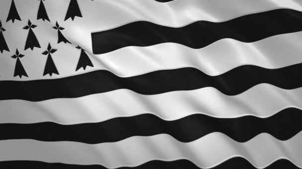 Brittany - Acenando Bandeira Vídeo Fundo — Vídeo de Stock