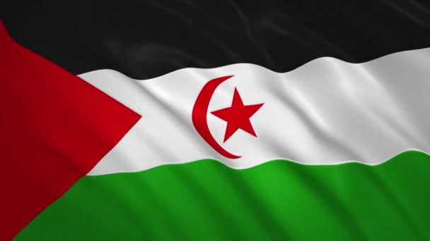 Αραβική Λαϊκή Δημοκρατία του Σαχράουι - Κυματιστή Σημαία — Αρχείο Βίντεο