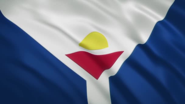 Saint Martin - Sallanan Bayrak Arkaplanı — Stok video