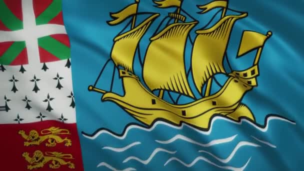 Saint Pierre och Miquelon - Viftande flagga video bakgrund — Stockvideo