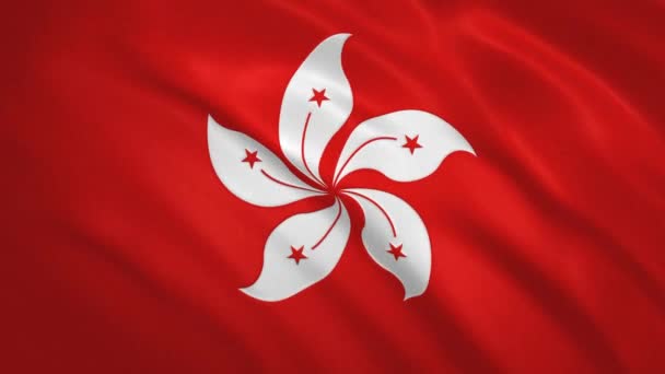 Hong Kong - Waving Flag Video Background — Stock Video