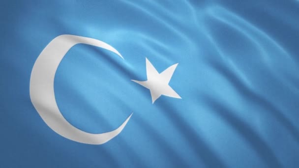 Östturkestan - Viftande flagga video bakgrund — Stockvideo