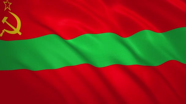 Pridnestrovie - ondeando la bandera de fondo de vídeo — Vídeo de stock