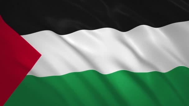 Палестина - размахивание флагом — стоковое видео