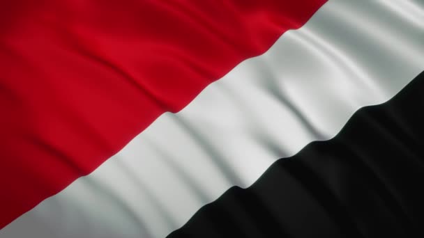 Sealand - Waving Flag Video Background — Stockvideo