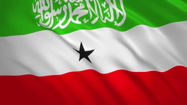 Somalilândia - Acenando Bandeira Vídeo Fundo — Vídeo de Stock