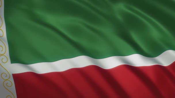 Chechnya - Waving Flag Video Background — Stock Video