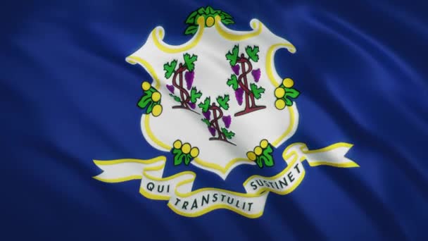 Connecticut - Dalgalanan Bayrak Görüntüsü Arkaplanı — Stok video
