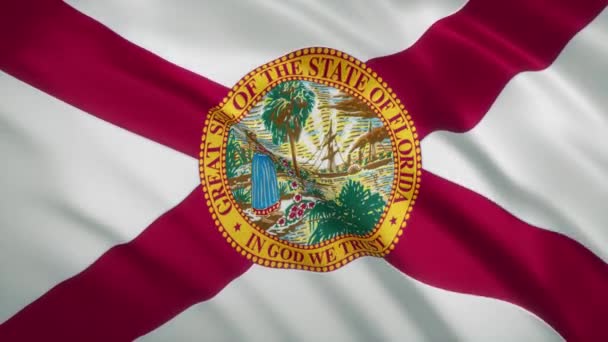 Florida - κυματίζοντας φόντο βίντεο σημαία — Αρχείο Βίντεο