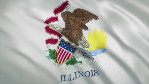 Illinois - Viftande flagga video bakgrund — Stockvideo