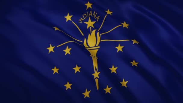 Indiana - golvende vlag video achtergrond — Stockvideo