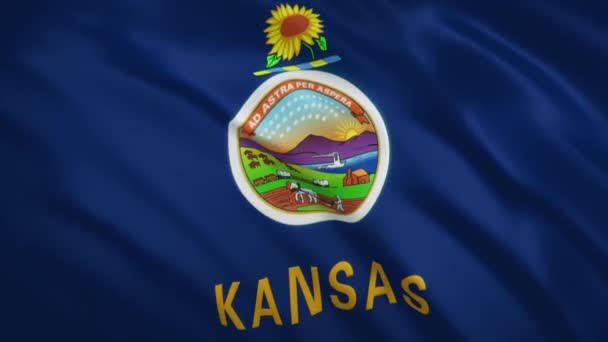 Kansas - Waving Flag Video Background — Stock Video