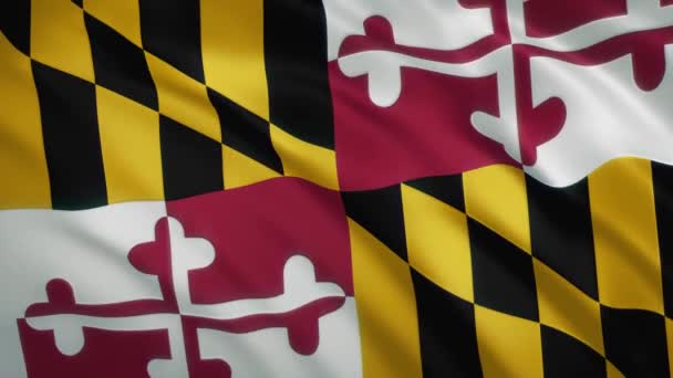 Maryland - Sfondo video della bandiera sventolante — Video Stock
