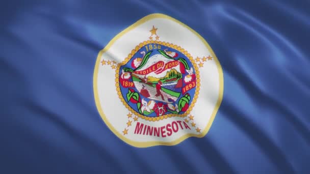 Minnesota - Drapeau agitant arrière-plan vidéo — Video