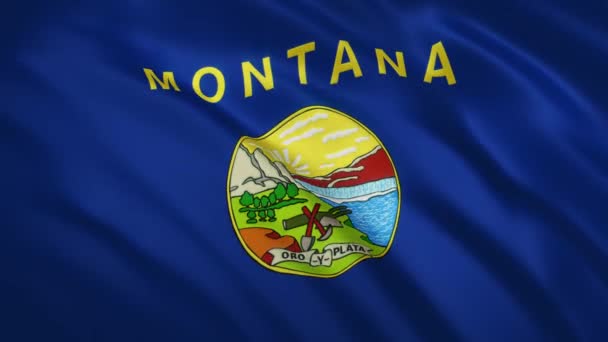 Montana - ondeando la bandera de fondo de vídeo — Vídeos de Stock
