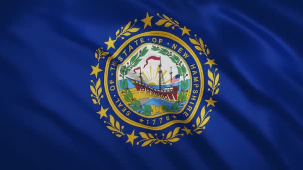 New Hampshire - Viftande flagga video bakgrund — Stockvideo