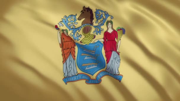 New Jersey - Drapeau agitant fond vidéo — Video