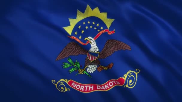 North Dakota - golvende vlag video achtergrond — Stockvideo