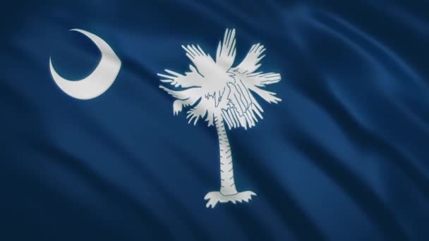 Güney Carolina - Dalgalanan Bayrak Arkaplanı — Stok video