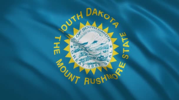 South Dakota - Waving Flag Video Background — Stock Video