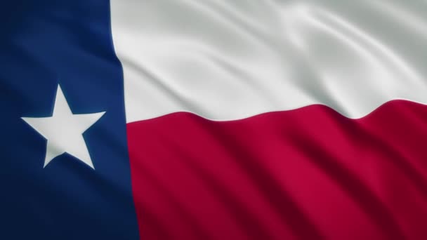 Teksas - Dalgalanan Bayrak Arkaplanı — Stok video