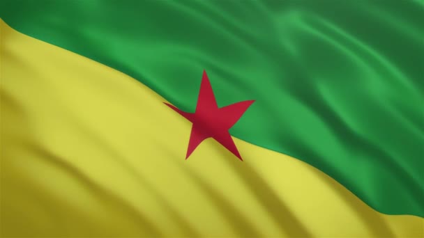 Французская Гвиана - видео с размахиванием флагом — стоковое видео
