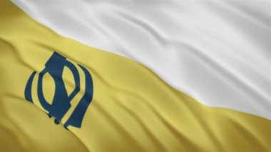 Punjab - Sallanan Bayrak Arkaplanı