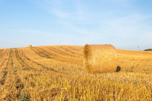 Pile di paglia sul campo — Foto Stock