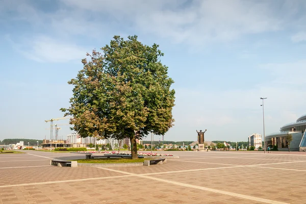 Дерево на городской площади — стоковое фото
