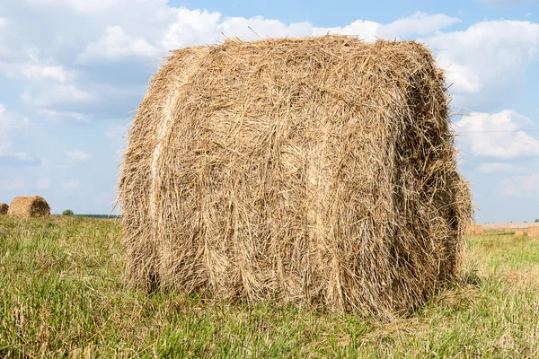 Haystacks em campo — Fotografia de Stock