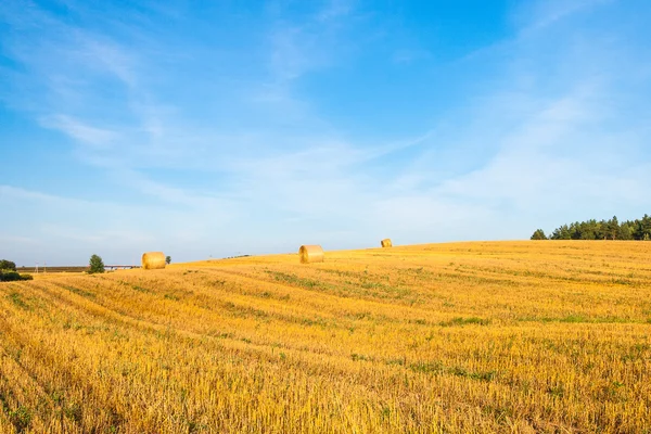 Pile di paglia sul campo — Foto Stock