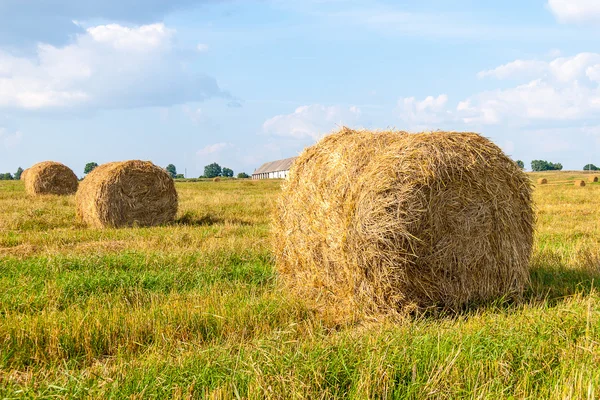 Haystacks em campo — Fotografia de Stock