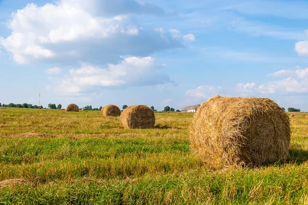 Haystacks em campo — Fotografia de Stock