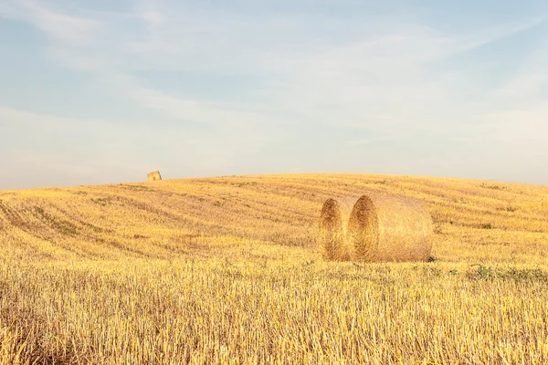 Haystacks in the field — Stock Photo, Image