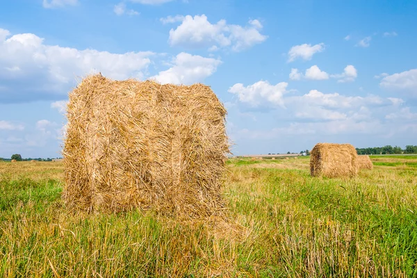 Haystacks in the field — Stock Photo, Image