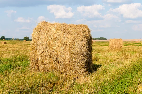 Haystacks en el campo —  Fotos de Stock