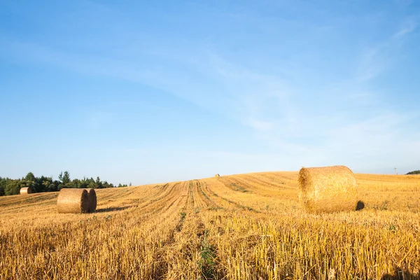 Haystacks em campo — Fotografia de Stock