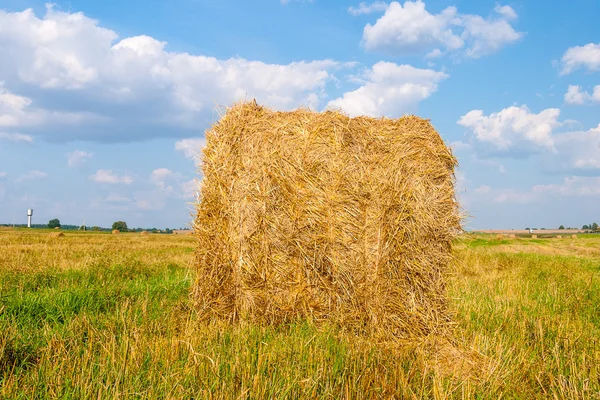 Pile di paglia sul campo — Foto Stock