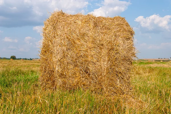 Haystacks em campo — Fotografia de Stock