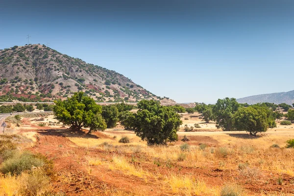Landskapet i Marocko — Stockfoto