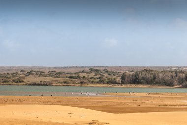 Souss masa Milli Parkı