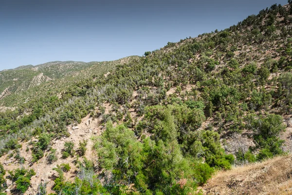 Fas peyzaj — Stok fotoğraf