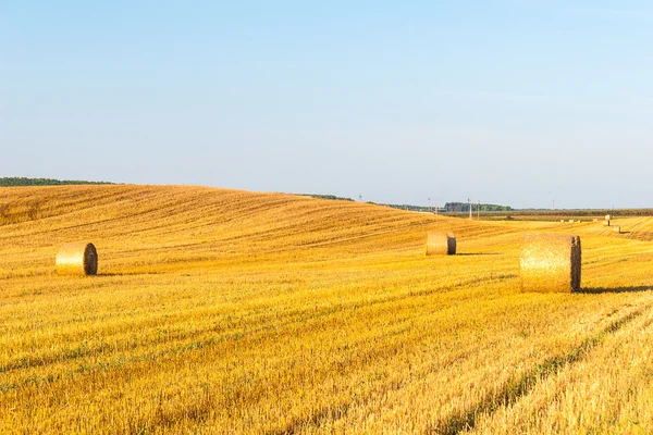 Haystacks em campo — Fotografia de Stock