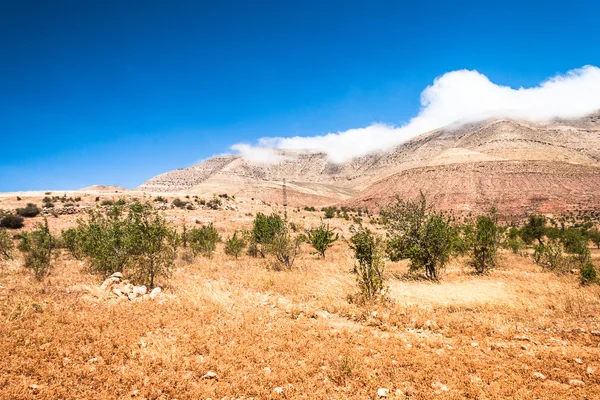 Landscape of Morocco — Stock Photo, Image