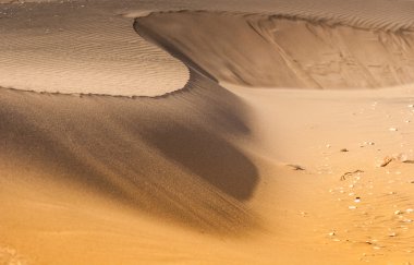 Souss masa Milli Parkı