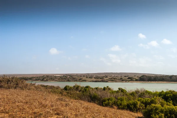 Маса souss Національний парк — стокове фото