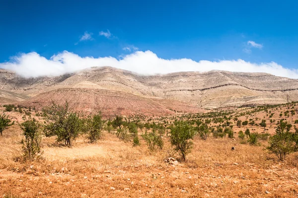 Landschaft Marokkos — Stockfoto
