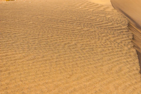 エアアラビア マサ国立公園 — ストック写真